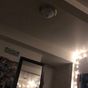 Meet your Posher, Jolie